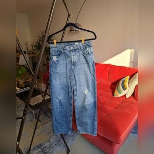 Adriano Goldschmied jeans size 28R knoxx high rise baggy boyfriend